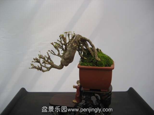 QQͼƬ20140928214524.jpg