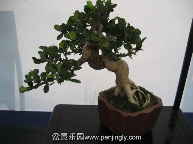 QQͼƬ20140928214552.jpg
