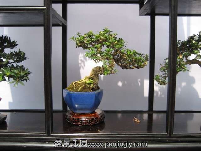 QQͼƬ20140928214625.jpg