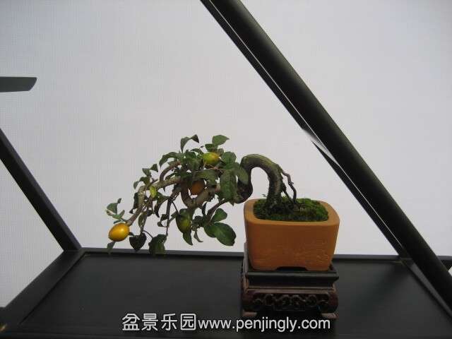 QQͼƬ20140928214732.jpg