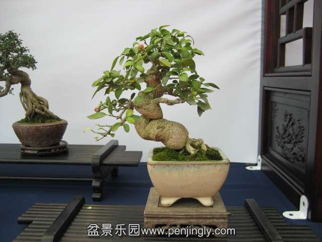 QQͼƬ20140928215044.jpg