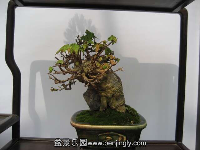 QQͼƬ20140928215103.jpg
