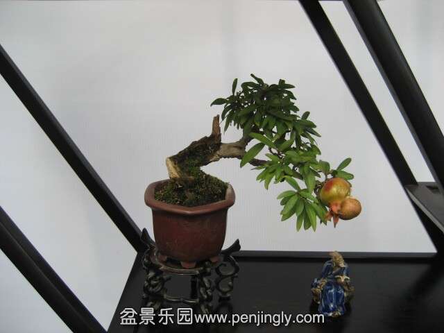 QQͼƬ20140928215120.jpg