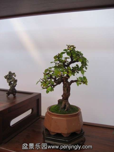 QQͼƬ20140928215140.jpg