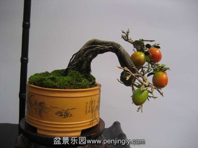 QQͼƬ20140928215155.jpg