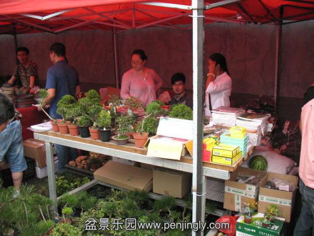 IMG_8159.JPG