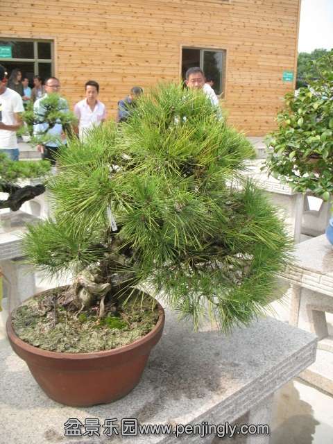 IMG_8168.JPG