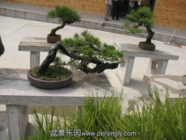 IMG_8171.JPG