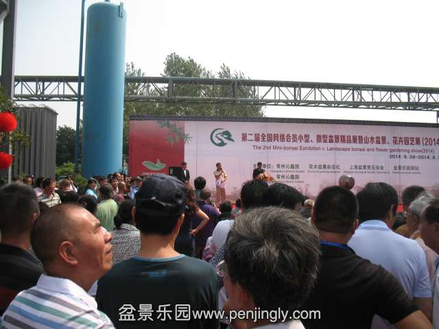 IMG_8184.JPG