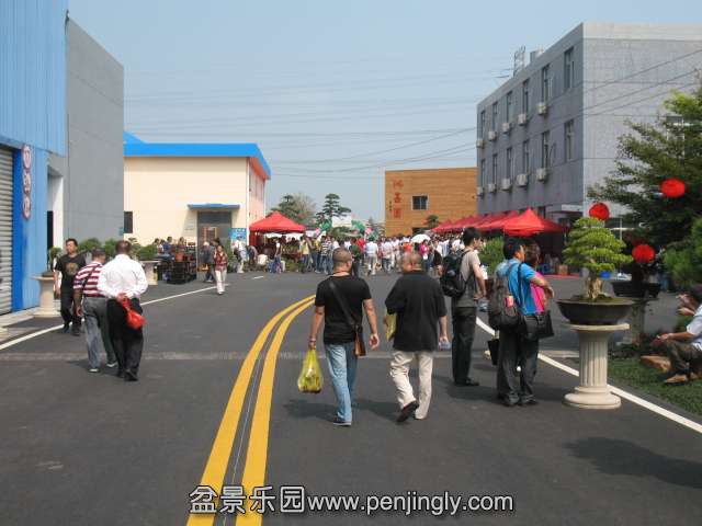 IMG_8190.JPG