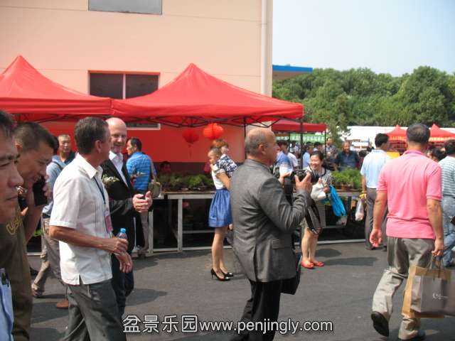 IMG_8210.JPG