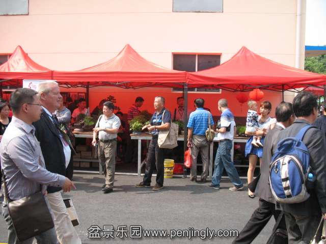 IMG_8211.JPG