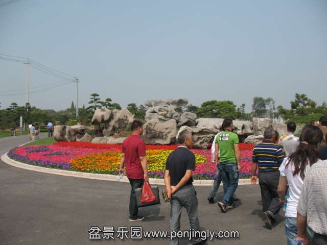 IMG_8219.JPG