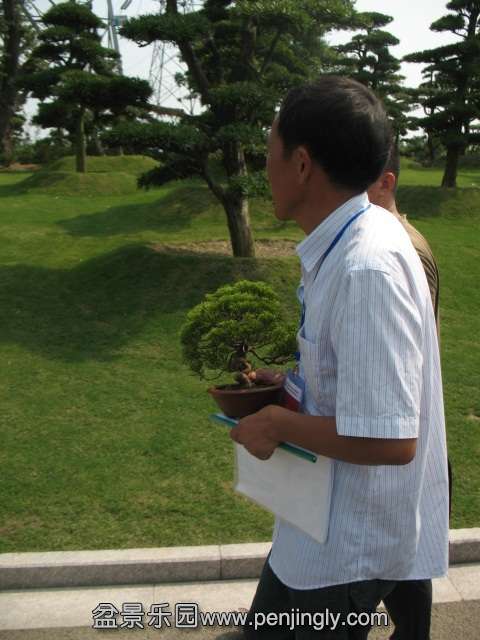 IMG_8221.JPG