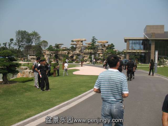 IMG_8226.JPG