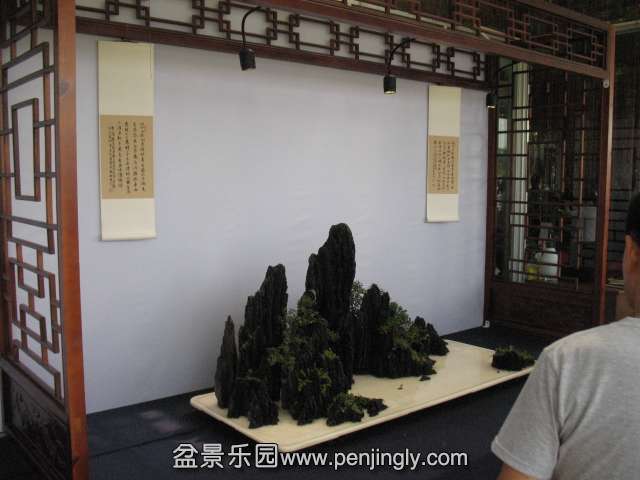 IMG_8228.JPG