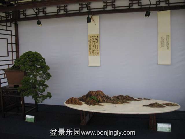 IMG_8229.JPG