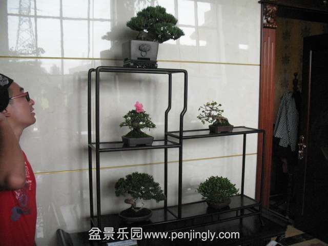 IMG_8254.JPG