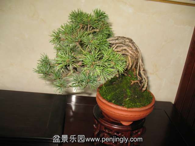 IMG_8261.JPG