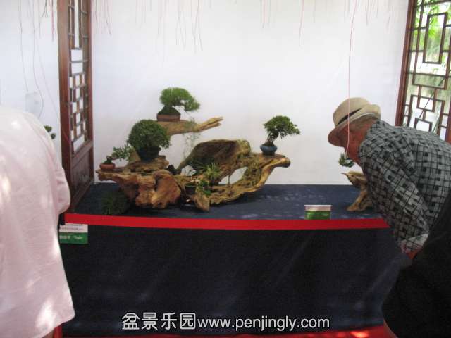 IMG_8265.JPG
