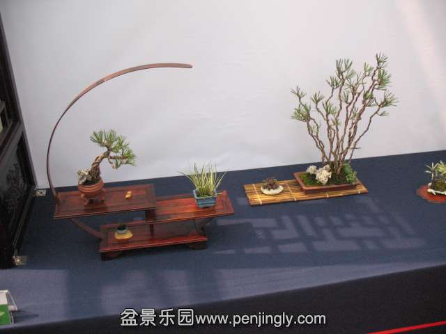 IMG_8280.JPG