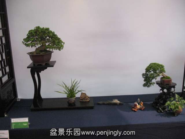 IMG_8300.JPG