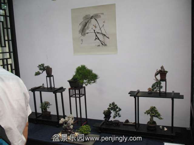 IMG_8314.JPG