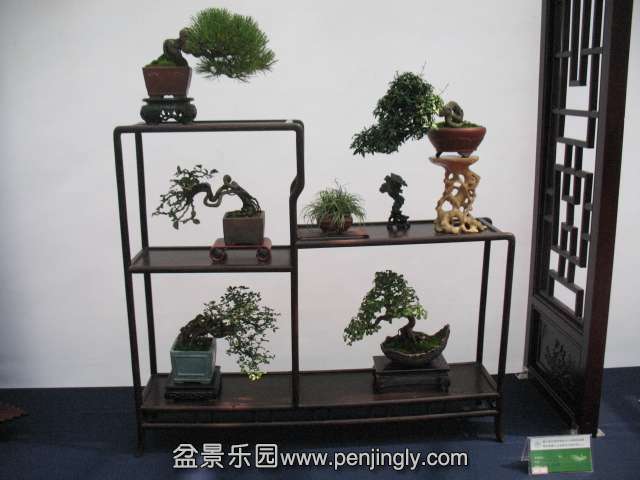 IMG_8319.JPG