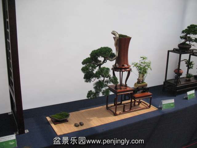 IMG_8320.JPG