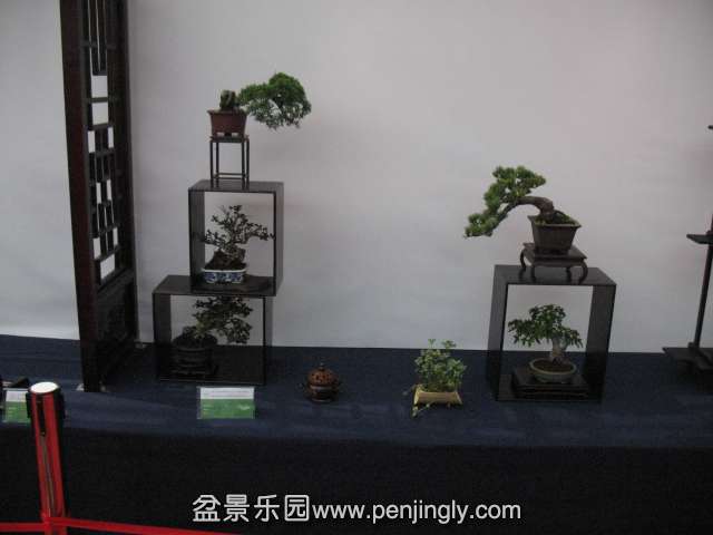 IMG_8321.JPG