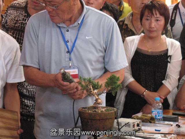 IMG_8345.JPG