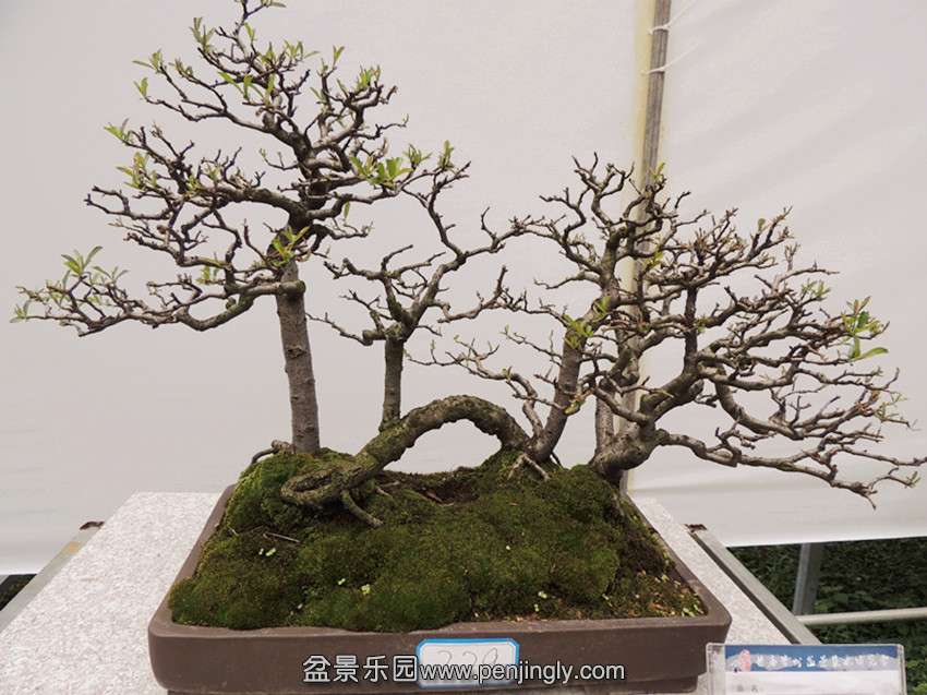 DSCN5843_.jpg
