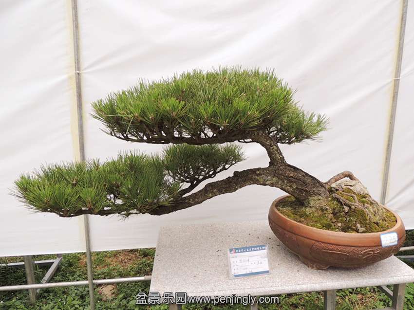 DSCN5845_.jpg