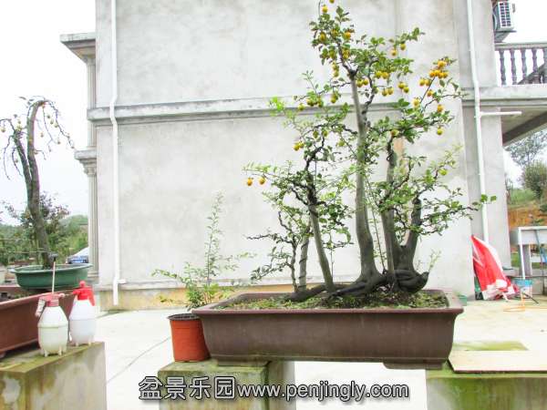 IMG_2755.jpg