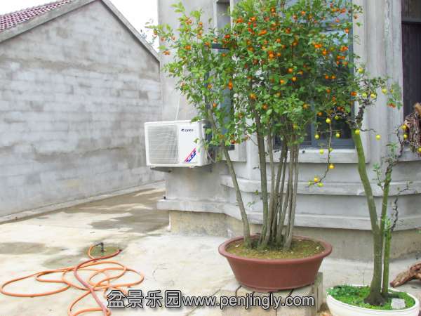IMG_2873.jpg