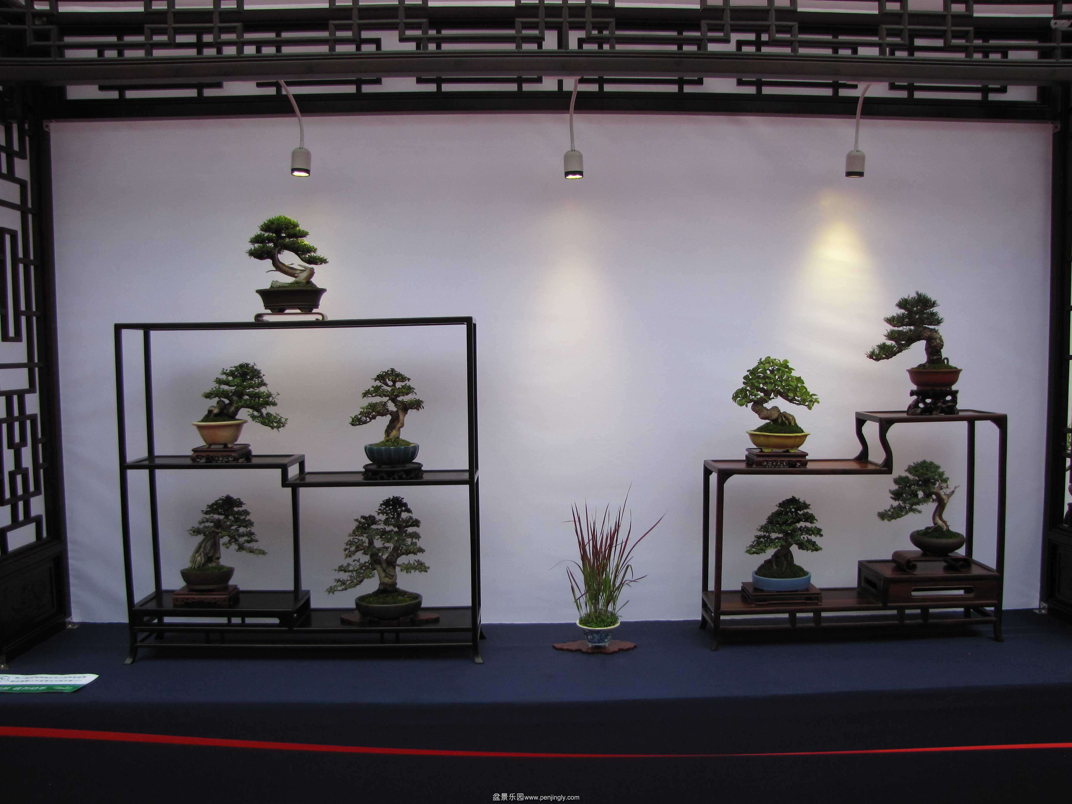 20140928-1.jpg