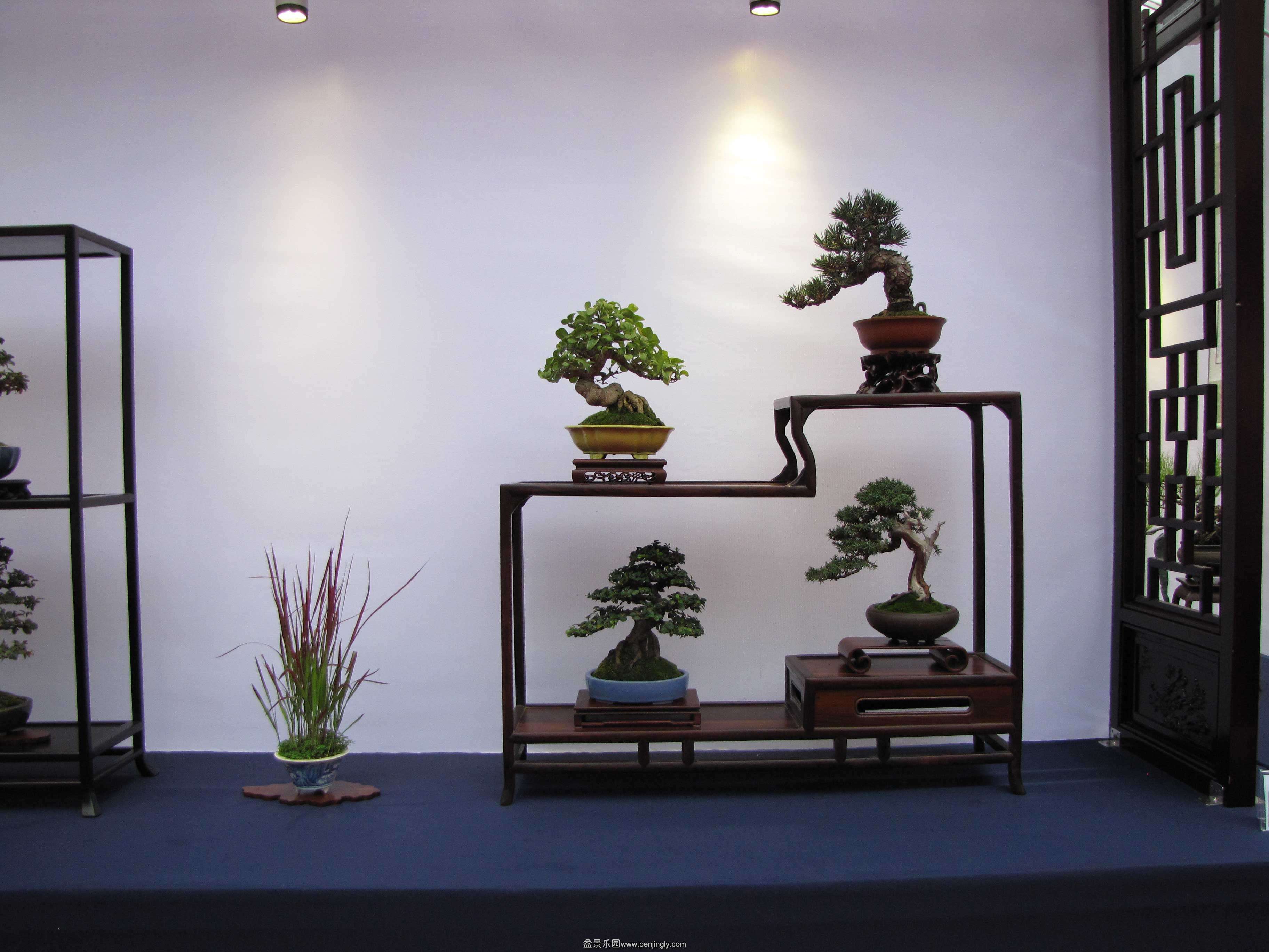 20140928-3.jpg