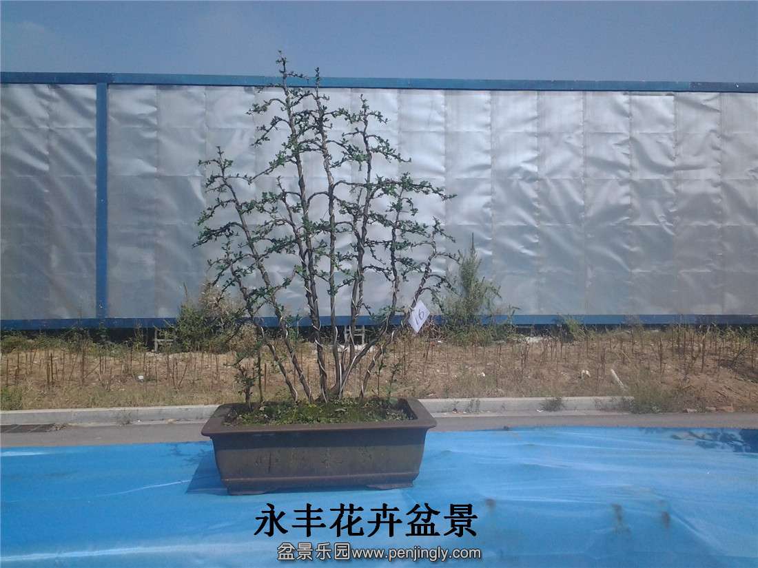 20141001_112707.jpg