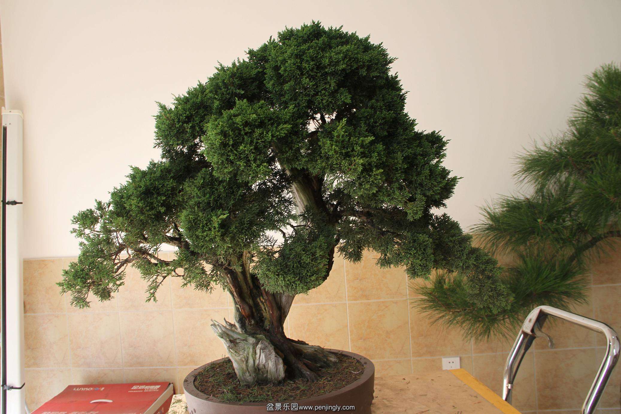 201410��ظ���20000 001.jpg