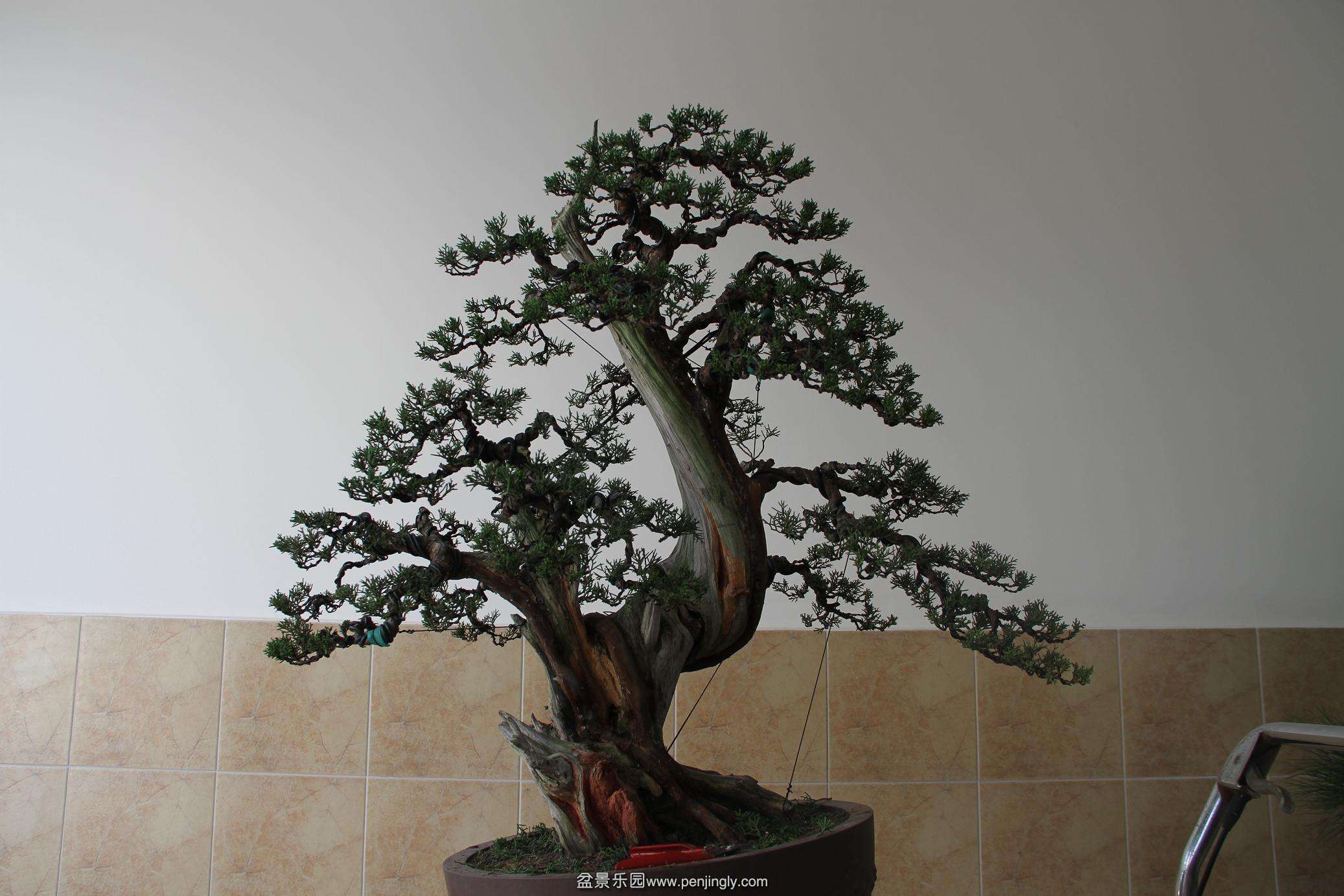 201410��ظ���20000 003.jpg