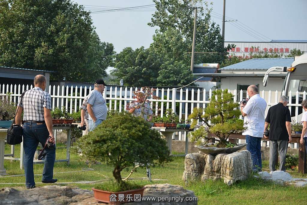 conew_dsc_7020.jpg