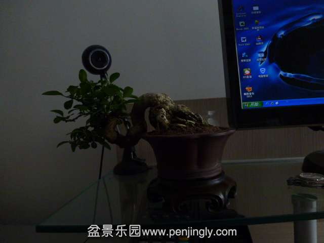 P1050821.JPG