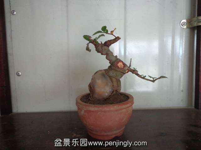 DSC00369.JPG