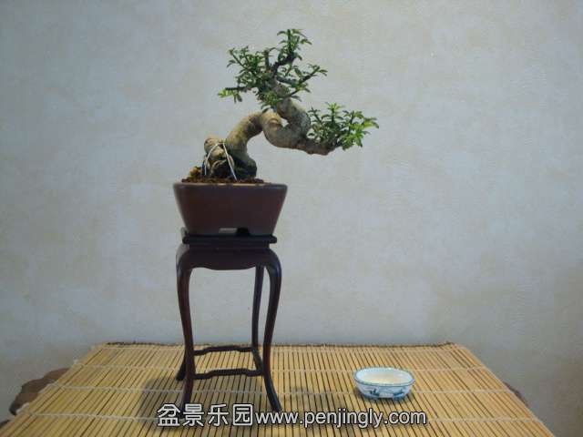DSC09166.JPG