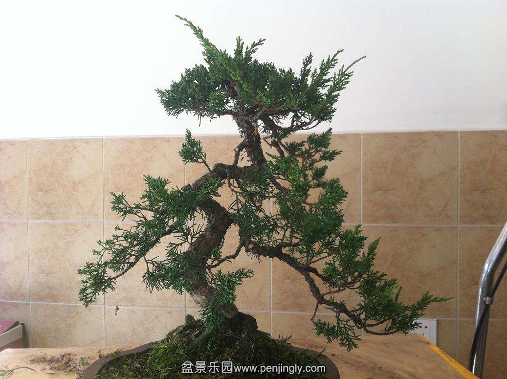 20141006������� 001.jpg