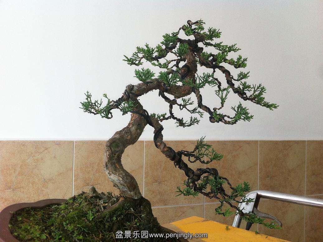 20141006������� 002.jpg