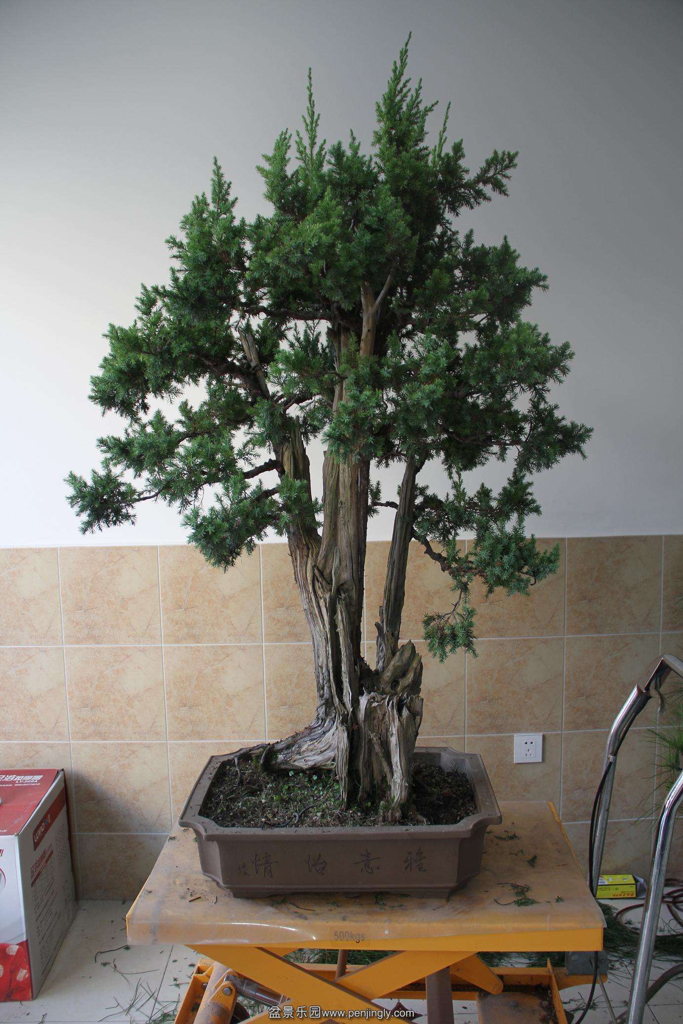 20141006���Ĵ̰� 001.jpg