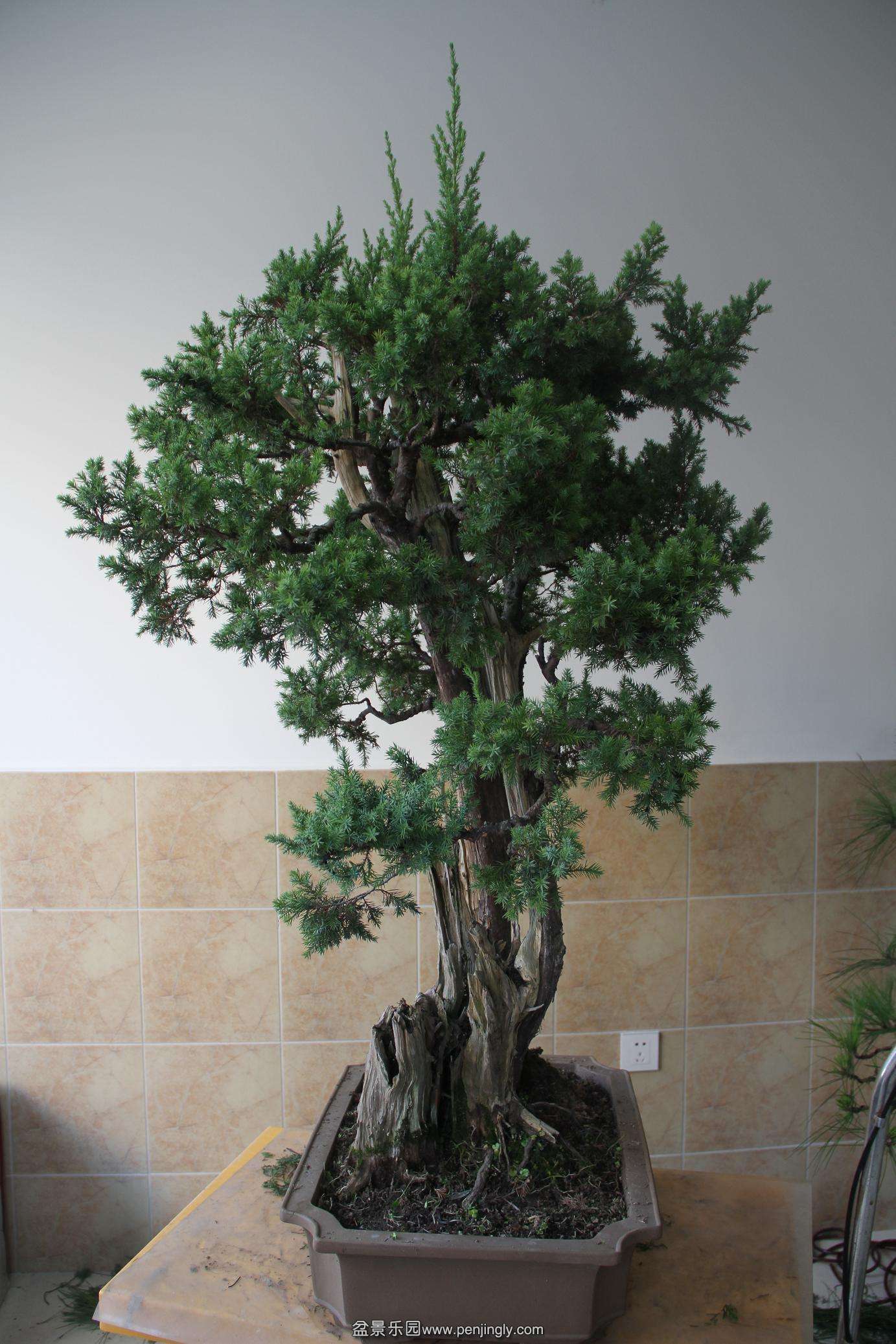 20141006���Ĵ̰� 002.jpg