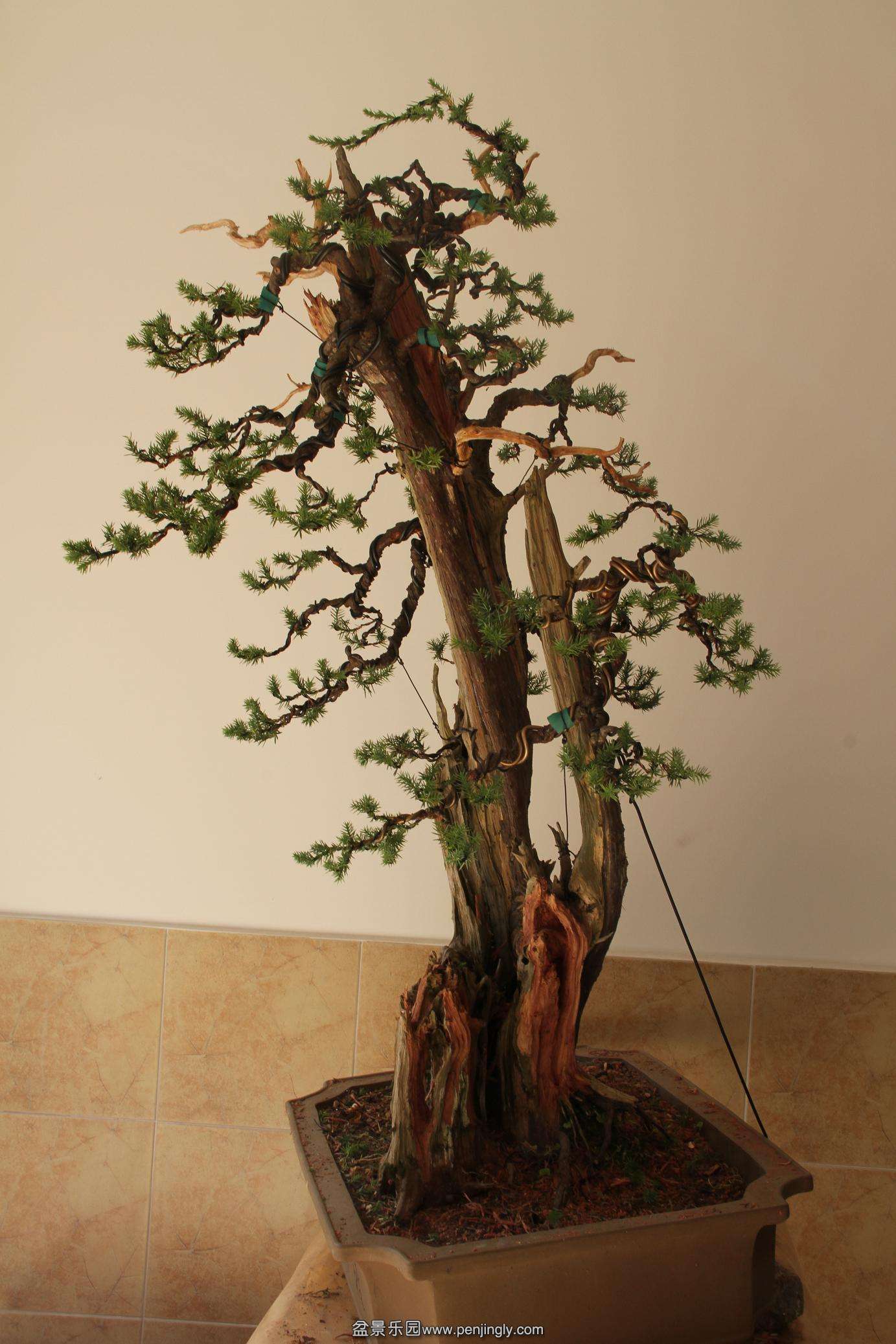 20141006���Ĵ̰� 003.jpg