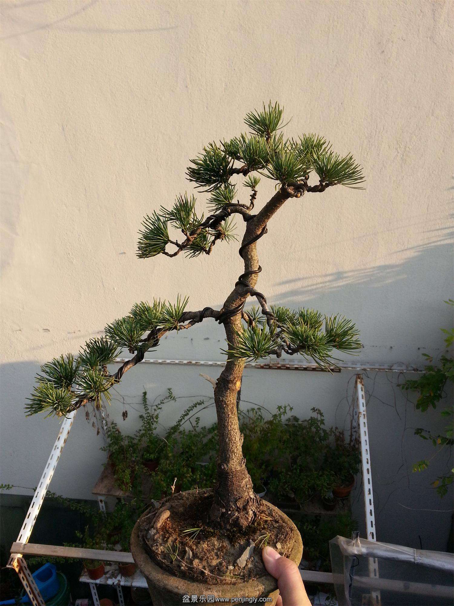 20141007_065823.jpg